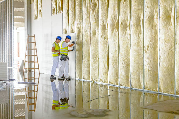 Best Insulation Contractor Near Me  in USA